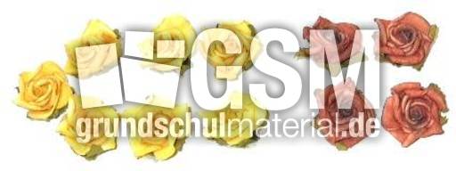 Blumen7+4.jpg